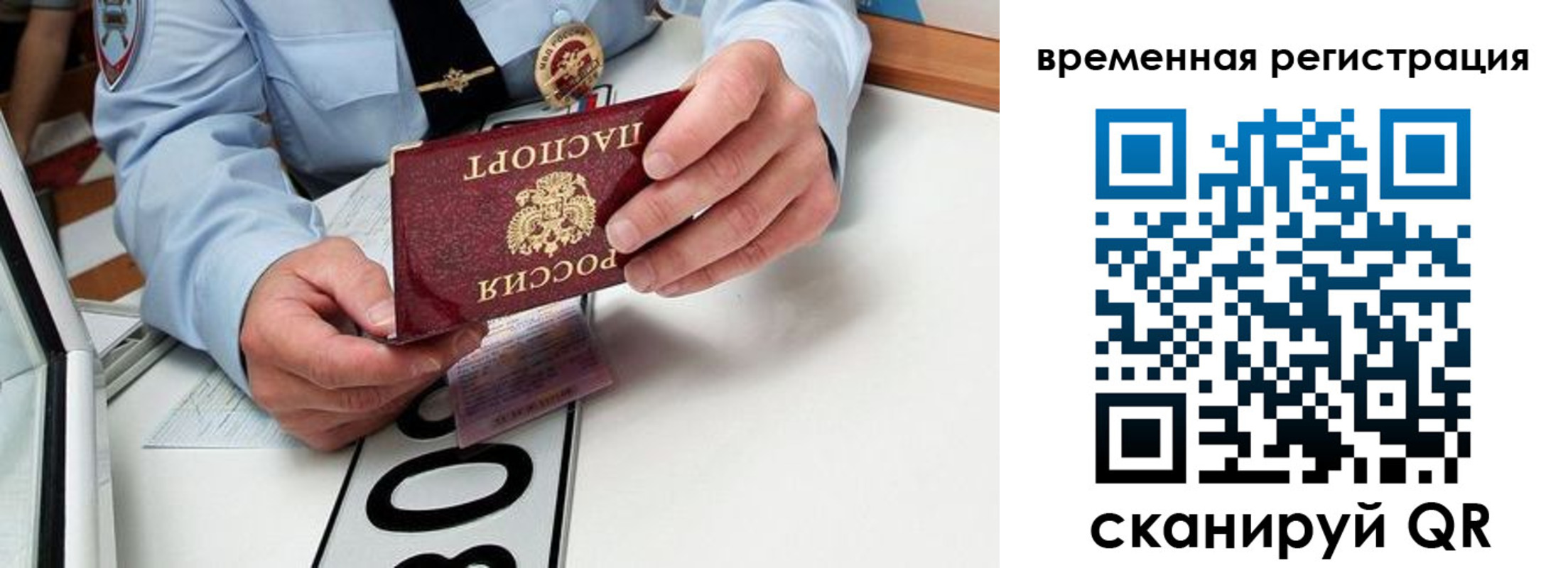 прописка гарантия в Сургуте